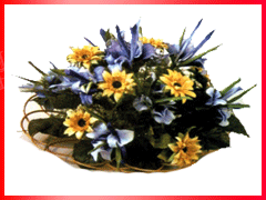 فوم بلندر گل سازی
